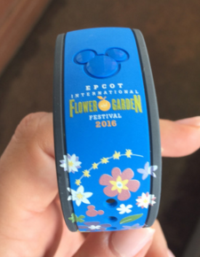 2016-03-05 04_45_32-Flower and Garden 2016 Figment Limited Edition Magic Band – Mouse to Your House